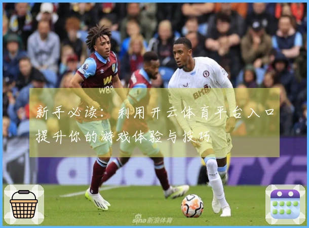 新手必读：利用开云体育平台入口提升你的游戏体验与技巧